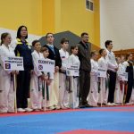 Спортивные достижения