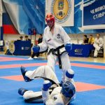 Спортивные достижения